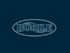 Borile motorcycles technical specifications